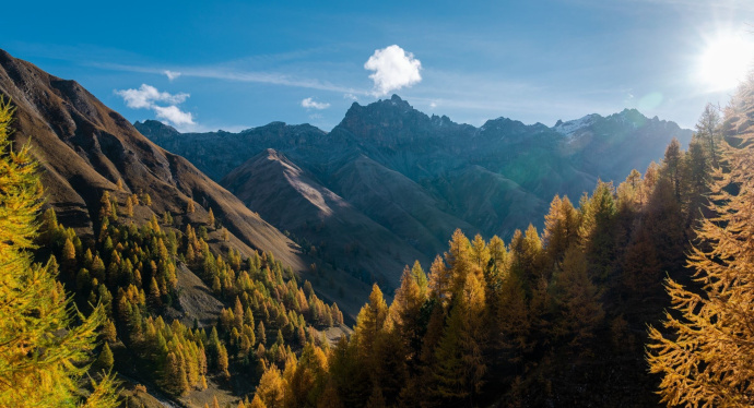 Schweizerischer Nationalpark
