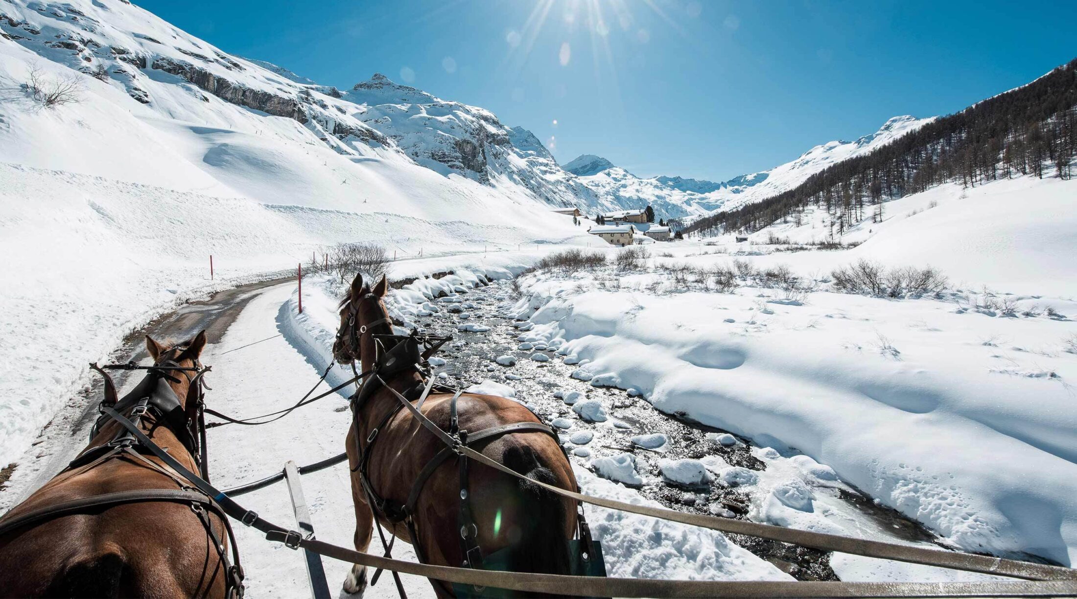 Angebote winter sils kennenlernen parkhotel margna sils